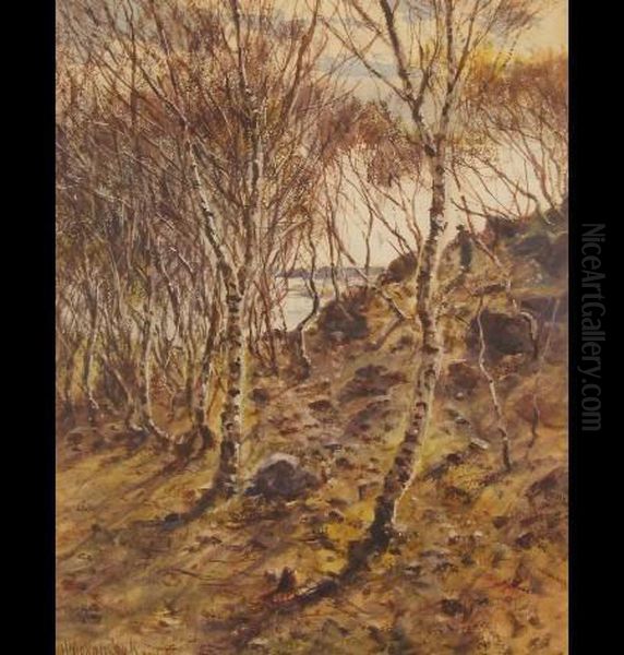 Woodland Scene With Figure In The Distance Oil Painting by Herbert Moxon Cook