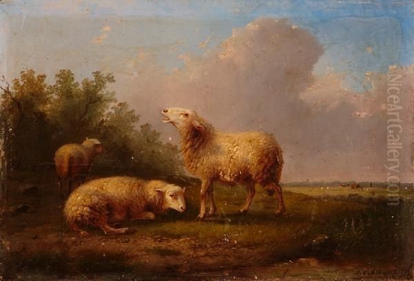 Sheep In A Meadow Oil Painting by Auguste Coomans