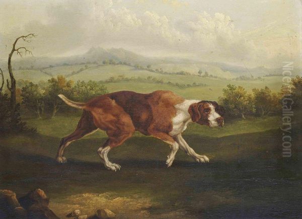 A Spanish Pointer In An Extensive Landscape Oil Painting by Abraham Cooper