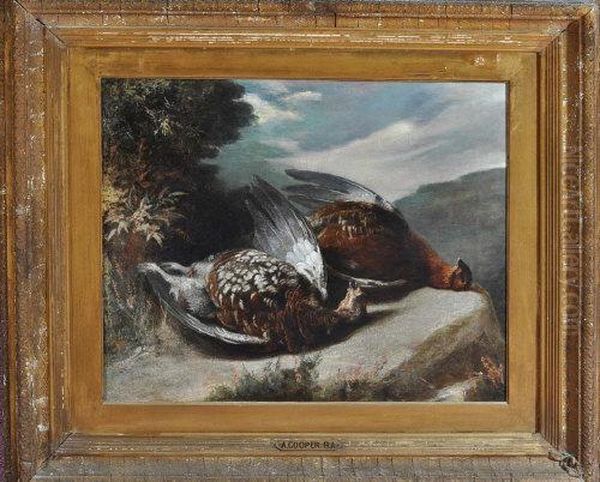 A Study Of Dead Grouse Oil Painting by Abraham Cooper