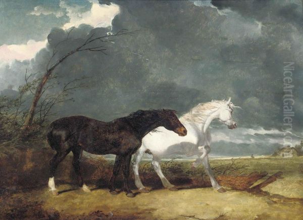 The Storm Oil Painting by Abraham Cooper