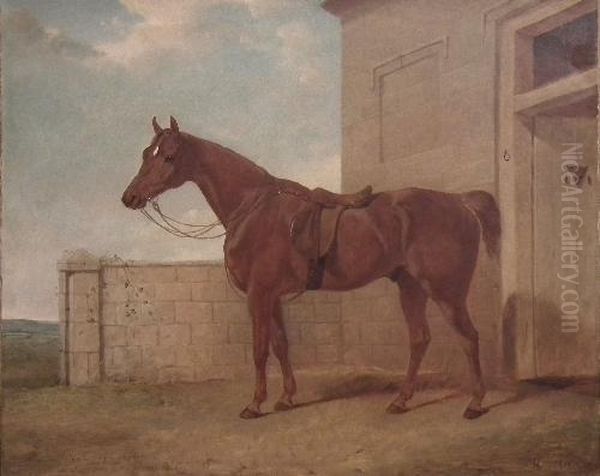 A Surrey Hunter Aged 22 Years Oil Painting by Abraham Cooper