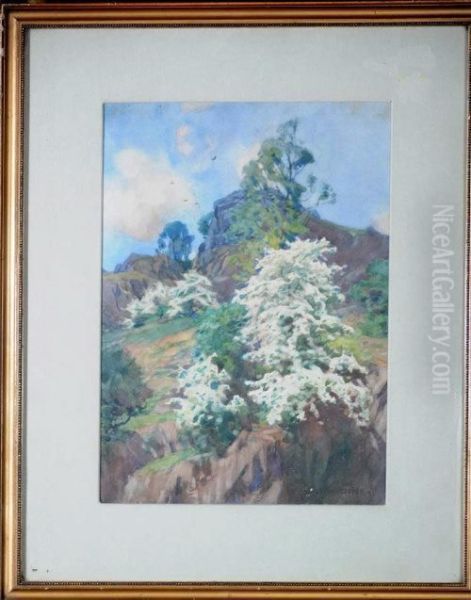 A Lakeland Hill With Blossoming Rowan Oil Painting by Alfred Heaton Cooper