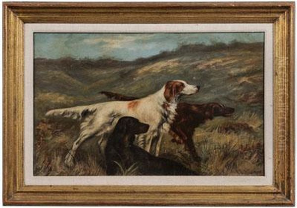 Three Setters In Afield Oil Painting by Astley David Middleton Cooper