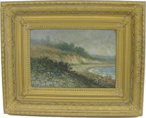 Coastal Scene Nearcarmel Oil Painting by Astley David Middleton Cooper