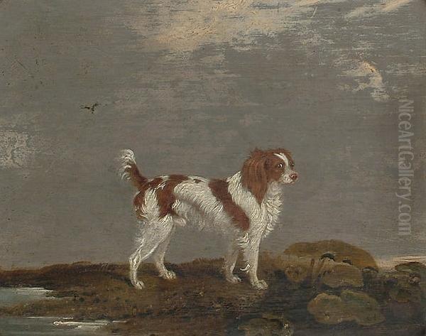 A Liver And White Spaniel In A Landscape Oil Painting by Edwin, Archt. Cooper