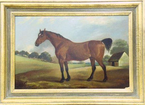 A Bay Hunter In A Landscape Oil Painting by Edwin, Archt. Cooper