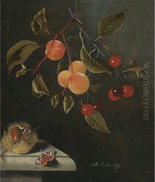 Still Life With A Butterfly, Apricots, Cherries, And Achestnut Oil Painting by Adriaen Coorte