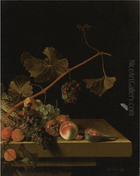 Still Life Of A Vine Twig With Grapes, Peaches, Apricots, Medlars, A Melon And A Halved Fig, Resting On A Stone Ledge Oil Painting by Adriaen Coorte