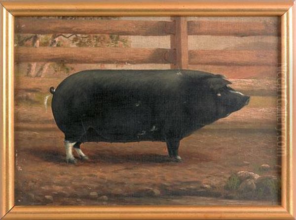 Portrait Of A Pig Oil Painting by George Cope