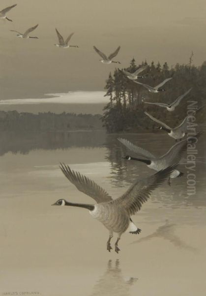 Geese In Flight by Charles George Copeland