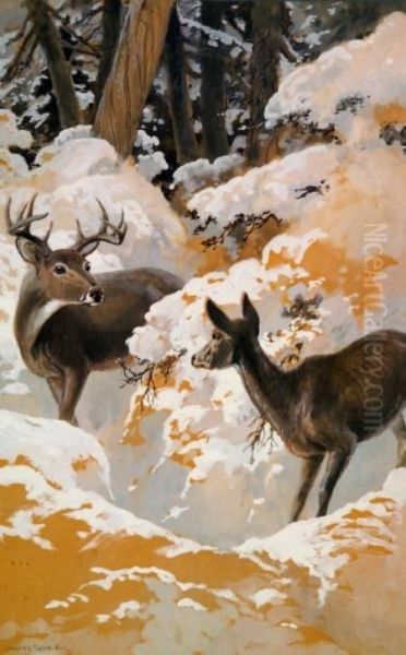 Deer In A Winter Forest Oil Painting by Charles George Copeland