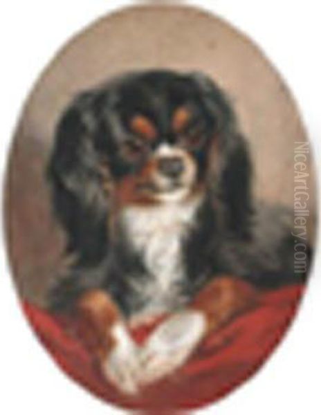 Acavalier King Charles Spaniel On A Red Cushion Oil Painting by Louisa Corbaux