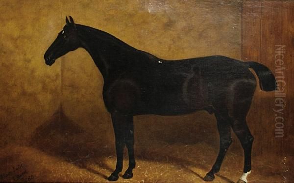 A Portrait Of 'black Jack' Oil Painting by Edith Ridley Corbet