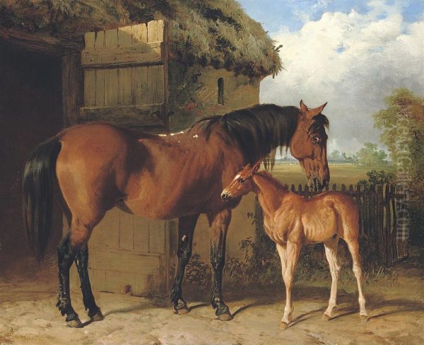 A Mare And Foal Oil Painting by Alfred Corbould