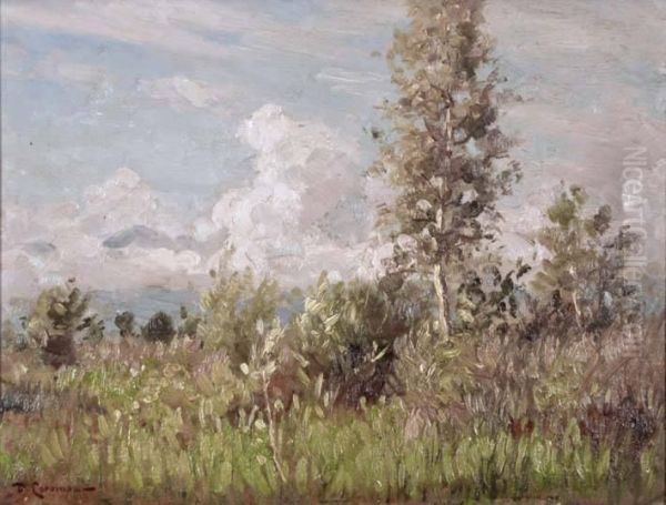 Paesaggio Oil Painting by Duilio Corompai