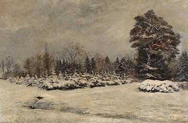 Tannenschonung Im Winter Oil Painting by Max Correggio