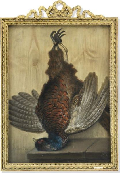 Hanging Game Birds, Including A Cock Pheasant, A Jay And Two Pheasants Oil Painting by Samuel Cotes