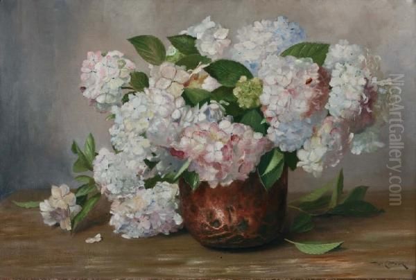 Hortensia's Oil Painting by Piet Johannes Cottaar