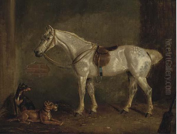 A Saddled Grey With Terriers In A Stable Oil Painting by Henry S. Cottrell