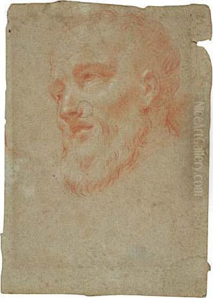 Study For The Head Of Filippo Neri Oil Painting by Guglielmo Cortese (see COURTOIS, Guillaume)