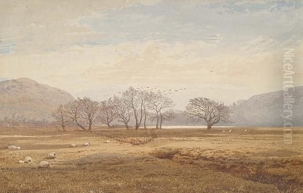 Rural Landscape, Possibly Wales Oil Painting by Hubert Coutts