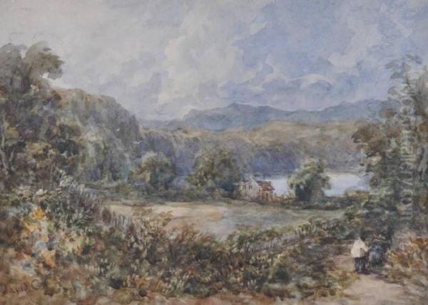 Figure On A Track Near A Lakeside Cottage Oil Painting by David I Cox