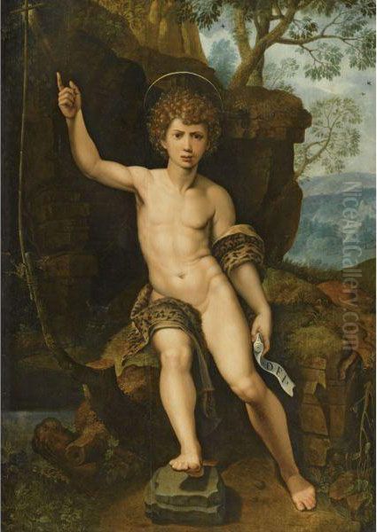 Saint John The Baptist In A Rocky Landscape Oil Painting by Michiel Coxie