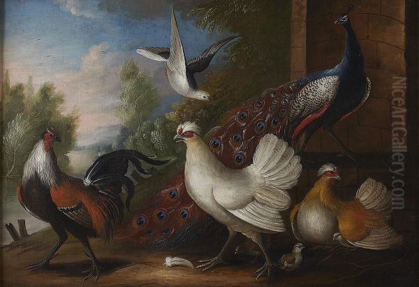 Ornamental Fowl In A Garden Oil Painting by Marmaduke Cradock