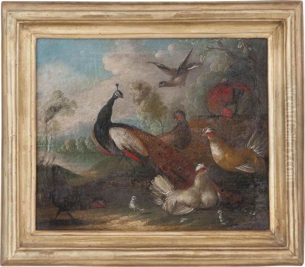 A Peacock And Other Fowl In A Landscape Oil Painting by Marmaduke Cradock