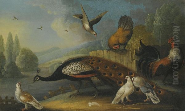 A Still Life With A Peacock, Pigeons And Chickens In A River Landscape Oil Painting by Marmaduke Cradock