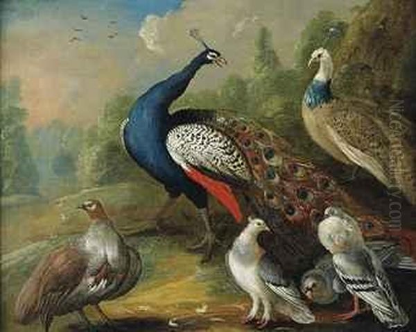 A Peacock And Other Birds In A Wooded Landscape Oil Painting by Marmaduke Cradock