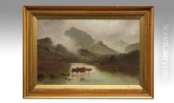 Highland Cattle Watering In A Lake Oil Painting by William J. Crampton