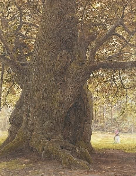 The Major Oak, Sherwood Forest Oil Painting by George Edward Crawhall