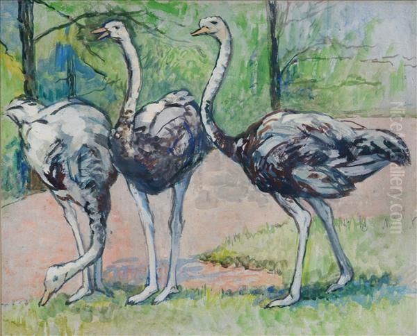 Ostriches Oil Painting by Joseph Ii Crawhall