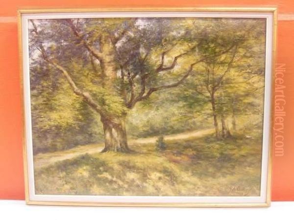 Sous-bois Oil Painting by Gerard Antoine Crehay