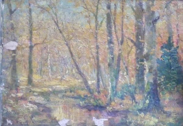 Forest Interior Oil Painting by Richard Creifelds