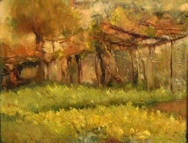 Paesaggio Alberato Oil Painting by Luigi Crisconio