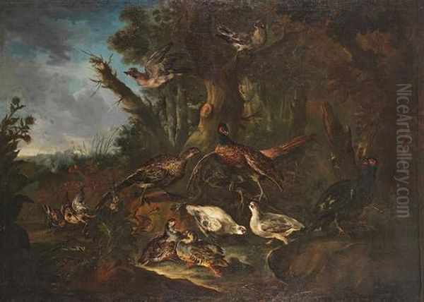 A Wooded Landscape With French Partridges,jays, Pheasants And Woodcocks Oil Painting by Il Crivellino Giovanni Crivelli