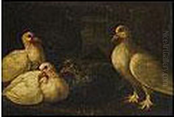 Par De Bodegones Con Palomas Y Pichones Oil Painting by Il Crivellino Giovanni Crivelli