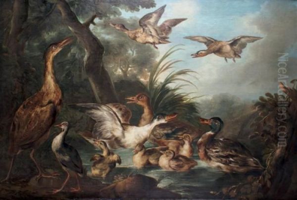 Canards Et Volatiles Dans Une Marre Oil Painting by Angelo Maria Crivelli, Il Crivellone