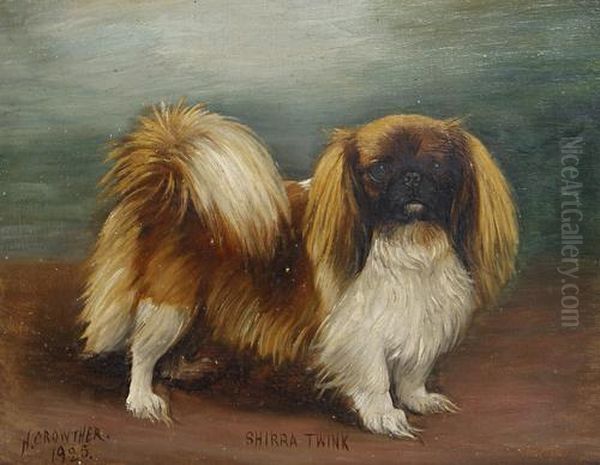 'shirra Twink' - A Pekingese Oil Painting by Henry Crowther