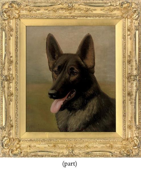 Jules Of Siler Warren, An Alsatian Oil Painting by Henry Crowther