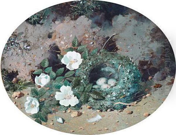 Still Lifes Of Flowers And Birds' Nests Oil Painting by William Cruickshank