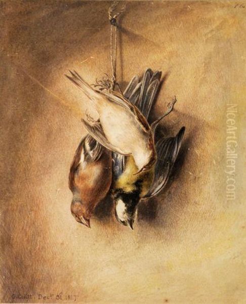 Still Life Of Dead Birds Oil Painting by George, the Younger Cuitt