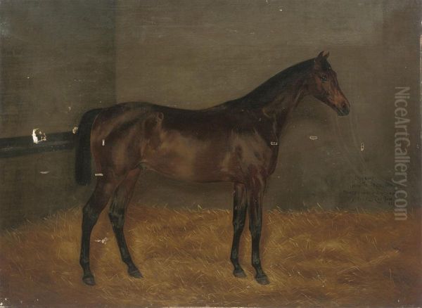 Dunlop, When A Yearling Oil Painting by Isaac Cullin