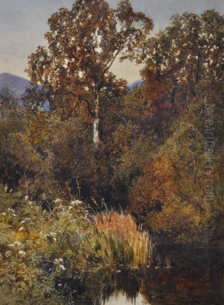 A Rural Pond Oil Painting by James Jackson Curnock