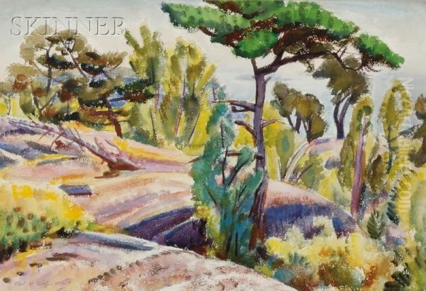 Umbrella Pine Oil Painting by Carl Gordon Cutler