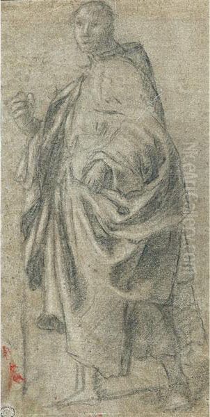 Figura Maschile Ammantata, In Piedi Oil Painting by (Jacopo Carucci) Pontormo