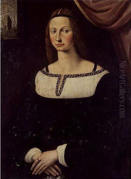 Portrait Of A Lady, Said To Be Costanza Fregosa Oil Painting by Antonio Da Rimpacta